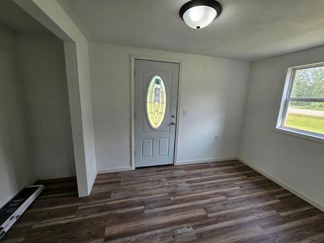 10091 Trengove Rd NW, Bemidji, MN 56601 - entryway featuring dark wood-type flooring