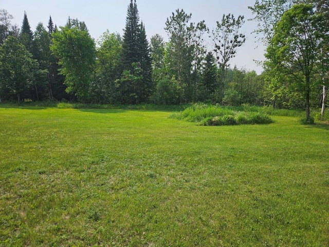 10091 Trengove Rd NW, Bemidji, MN 56601 - view of green lawn with a wooded view