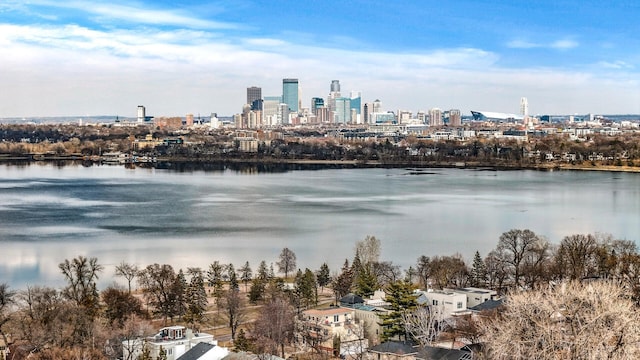 3909 Xerxes Ave S, Minneapolis, MN 55410 - water view with city skyline