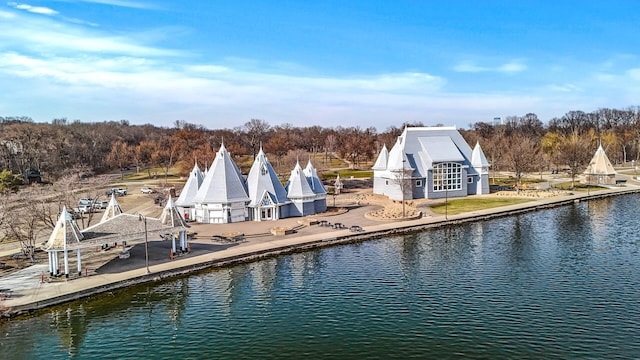 3909 Xerxes Ave S, Minneapolis, MN 55410 - dock area featuring a water view