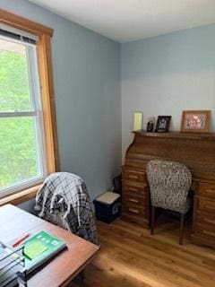 40815 Shadow Dr, Clitherall, MN 56524 - home office featuring wood finished floors and plenty of natural light