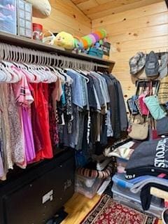 40815 Shadow Dr, Clitherall, MN 56524 - view of spacious closet