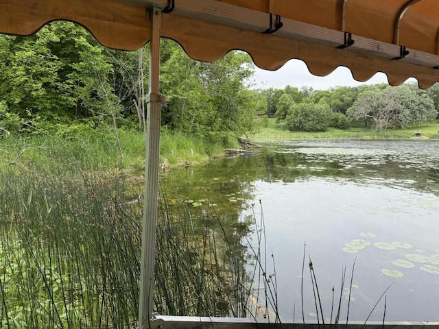 40815 Shadow Dr, Clitherall, MN 56524 - water view