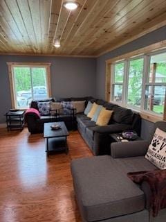 40815 Shadow Dr, Clitherall, MN 56524 - living room featuring wooden ceiling and wood finished floors