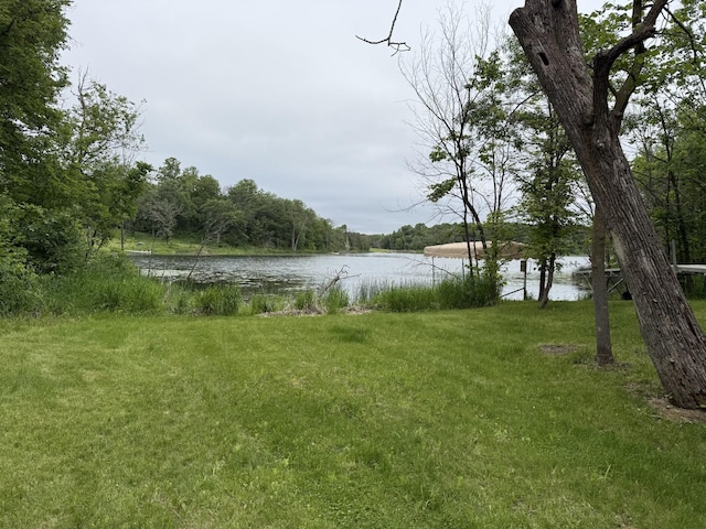40815 Shadow Dr, Clitherall, MN 56524 - photo 15