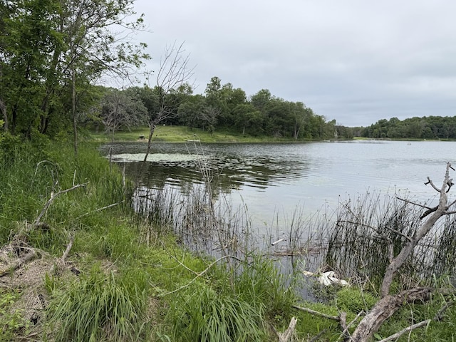 40815 Shadow Dr, Clitherall, MN 56524 - photo 16