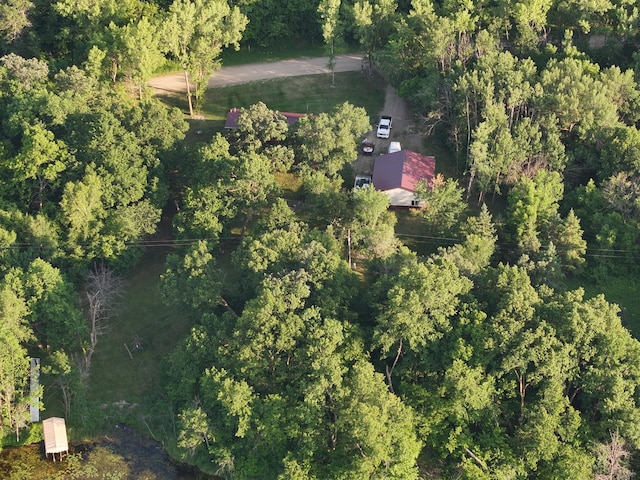 40815 Shadow Dr, Clitherall, MN 56524 - photo 27