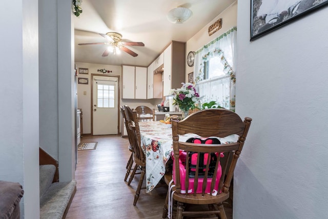 505 1st Ave SE, Pelican Rapids, MN 56572 - dining room featuring light wood-type flooring and ceiling fan