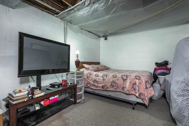 505 1st Ave SE, Pelican Rapids, MN 56572 - carpeted bedroom with concrete block wall