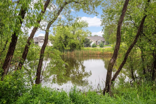 2721 230th Ct NW, Saint Francis, MN 55070 - water view
