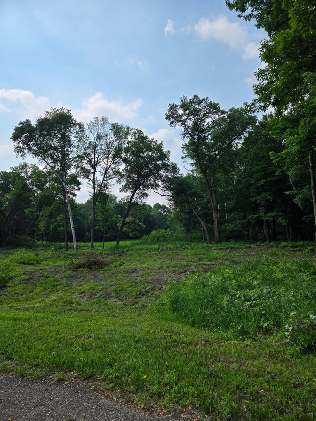 716 169th Ln NE, Ham Lake, MN 55304 - view of yard with a view of trees