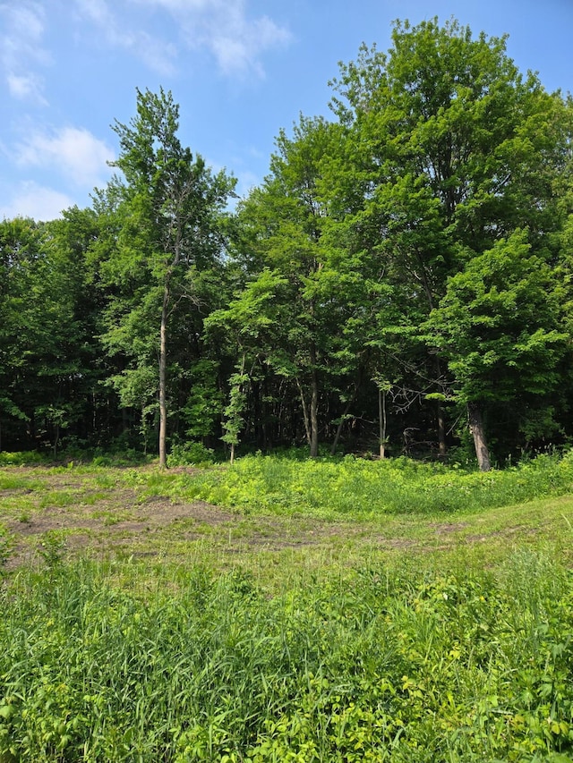 716 169th Ln NE, Ham Lake, MN 55304 - view of woods