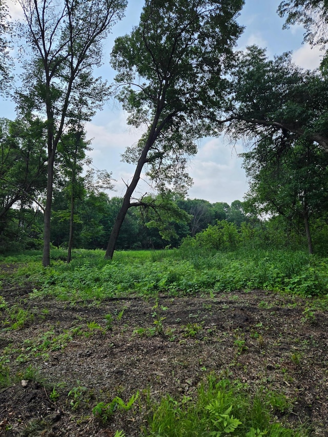 716 169th Ln NE, Ham Lake, MN 55304 - view of woods