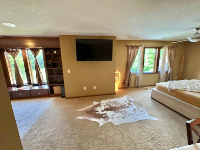 716 169th Ln NE, Ham Lake, MN 55304 - photo 32