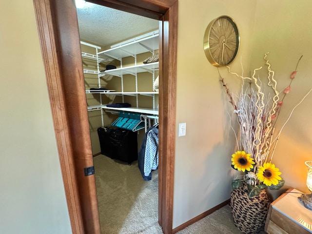 716 169th Ln NE, Ham Lake, MN 55304 - photo 33