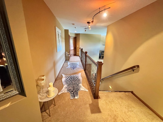 716 169th Ln NE, Ham Lake, MN 55304 - photo 56