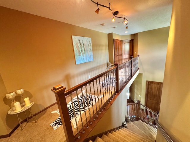 716 169th Ln NE, Ham Lake, MN 55304 - photo 57
