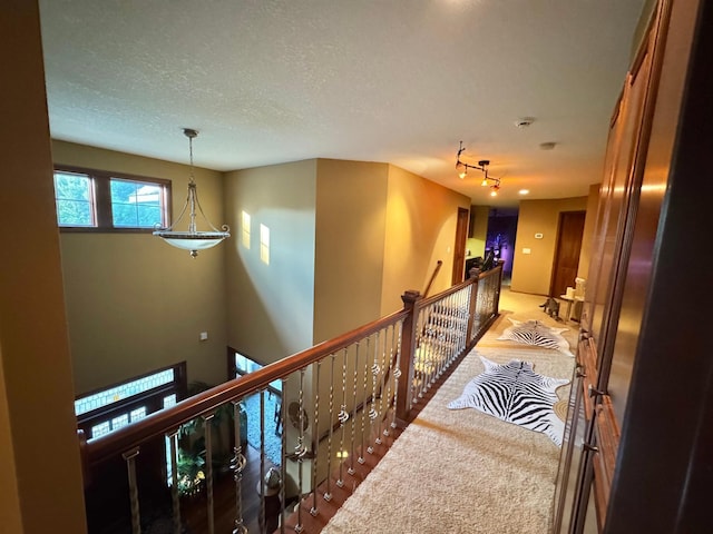 716 169th Ln NE, Ham Lake, MN 55304 - photo 72