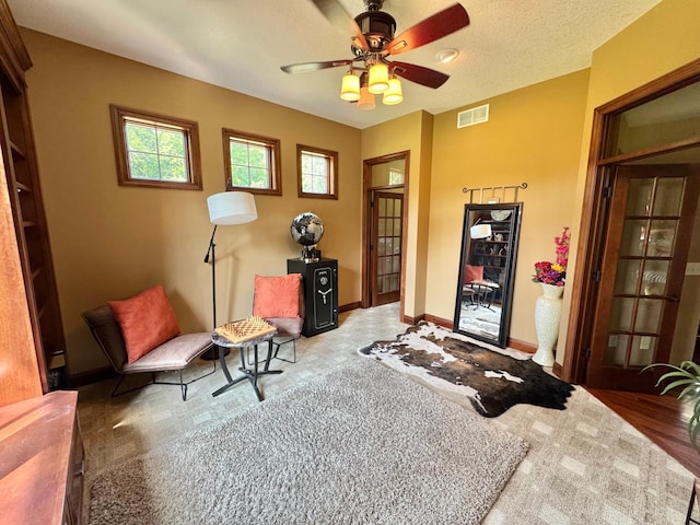 716 169th Ln NE, Ham Lake, MN 55304 - photo 74