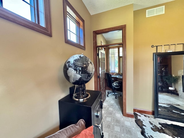 716 169th Ln NE, Ham Lake, MN 55304 - photo 82