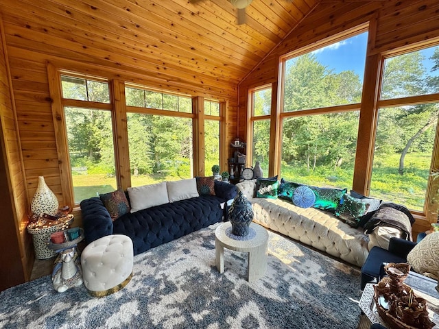 716 169th Ln NE, Ham Lake, MN 55304 - photo 98
