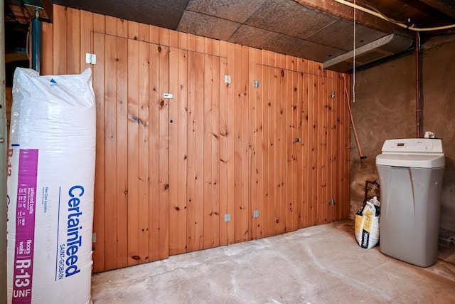 231 Mark St, Winona, MN 55987 - basement with a water softener system and wood walls