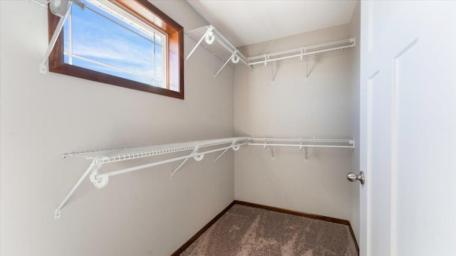 991 45th Ave NE, Saint Cloud, MN 56304 - spacious closet featuring carpet
