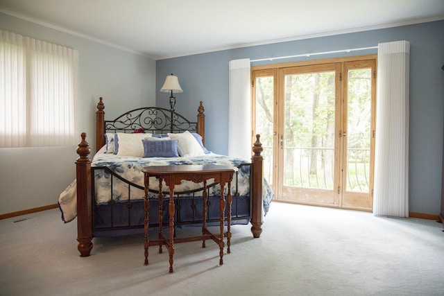 58280 County Road 21, Zumbro Falls, MN 55991 - carpeted bedroom featuring crown molding, multiple windows, and access to outside