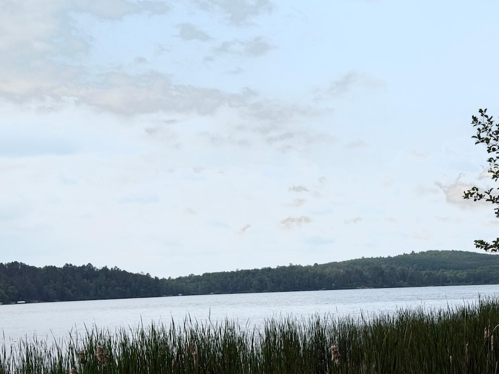 17541 Mitchell Lake Rd, Fifty Lakes, MN 56448 - water view with a heavily wooded area