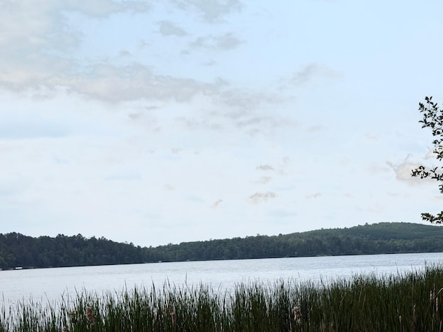 17541 Mitchell Lake Rd, Fifty Lakes, MN 56448 - water view with a heavily wooded area