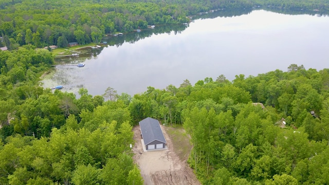 17541 Mitchell Lake Rd, Fifty Lakes, MN 56448 - photo 26