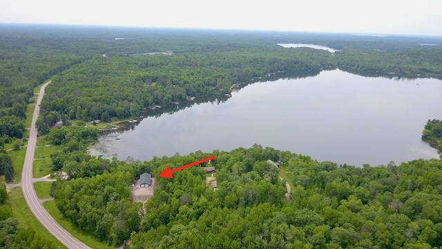 17541 Mitchell Lake Rd, Fifty Lakes, MN 56448 - photo 39