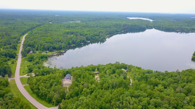 17541 Mitchell Lake Rd, Fifty Lakes, MN 56448 - photo 44
