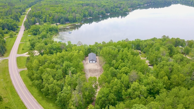 17541 Mitchell Lake Rd, Fifty Lakes, MN 56448 - photo 45
