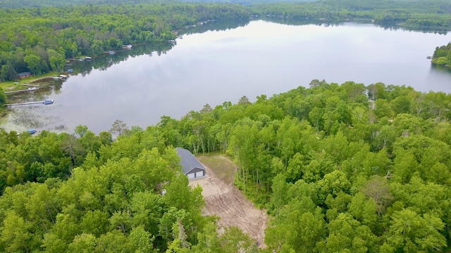 17541 Mitchell Lake Rd, Fifty Lakes, MN 56448 - photo 4