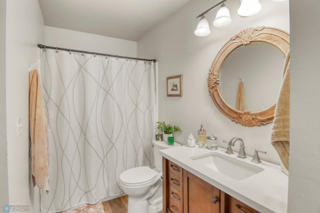 3327 23rd Ave S, Fargo, ND 58103 - bathroom featuring vanity, wood finished floors, and a shower with curtain