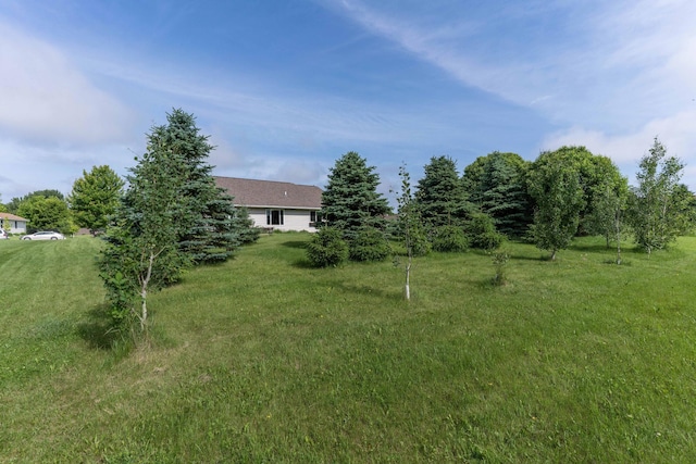 603 7th Ave, Osakis, MN 56360 - view of grassy yard