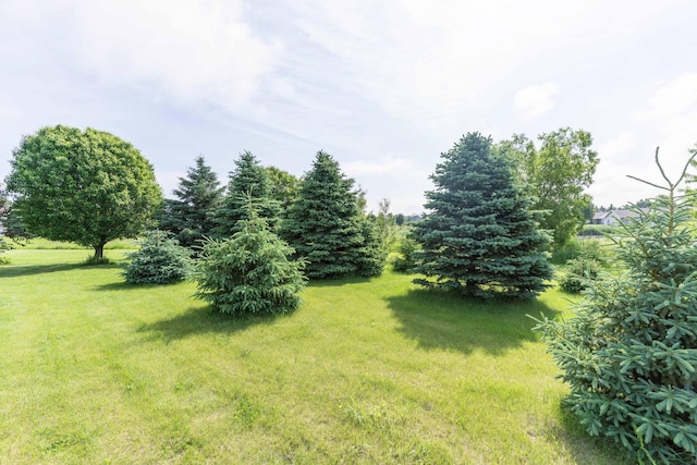 603 7th Ave, Osakis, MN 56360 - view of grassy yard