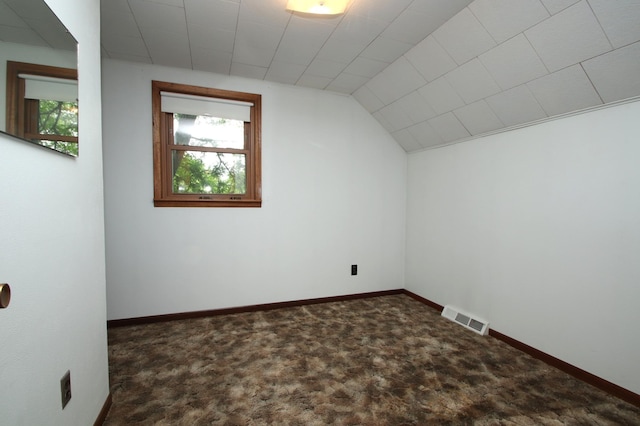 842 19th Ave N, Saint Cloud, MN 56303 - bonus room featuring carpet floors and vaulted ceiling
