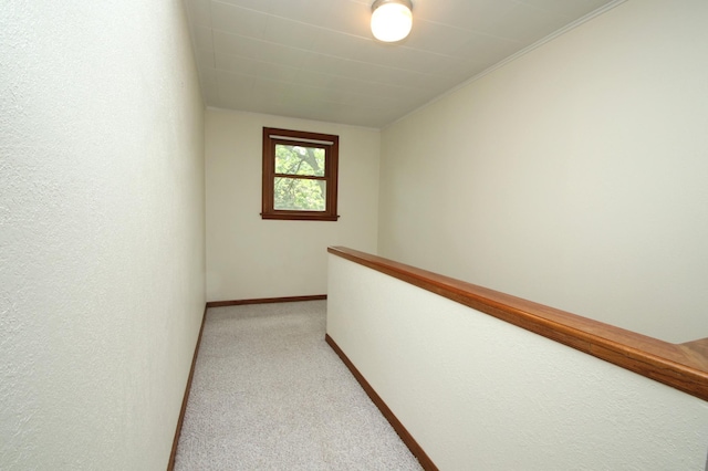 842 19th Ave N, Saint Cloud, MN 56303 - hall featuring light colored carpet and baseboards