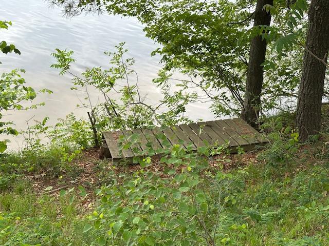 20519 485th St, Mcgregor, MN 55760 - view of undeveloped land