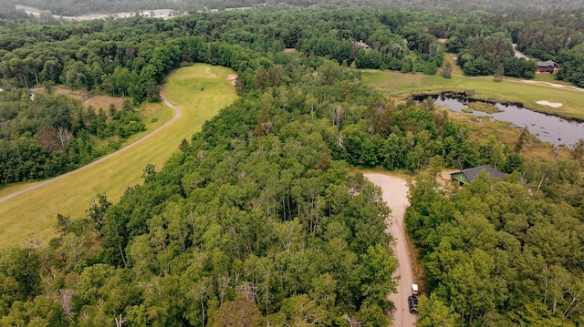 12 Suffolk Cir, Breezy Point, MN 56472