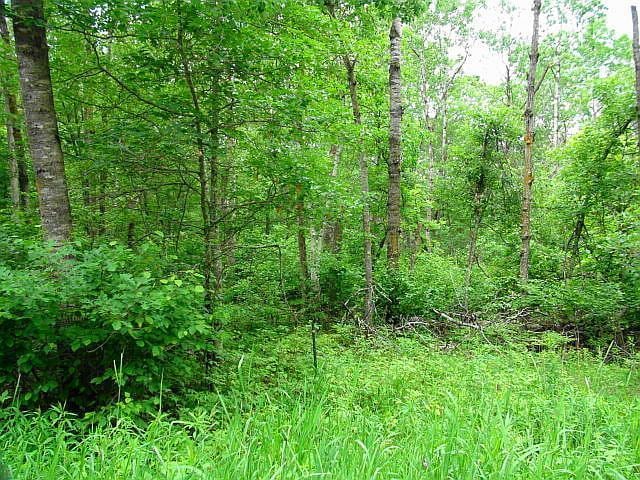 12 Suffolk Cir, Breezy Point, MN 56472