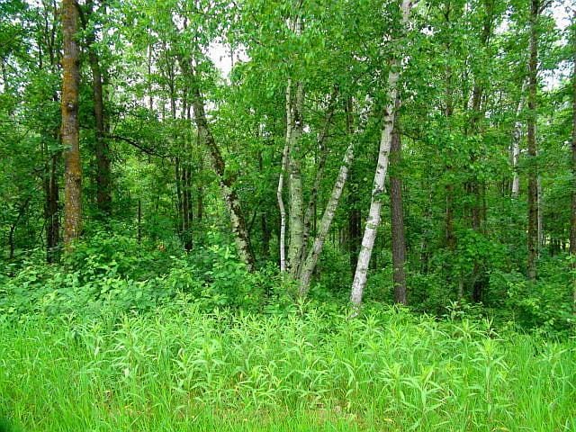 12 Suffolk Cir, Breezy Point, MN 56472