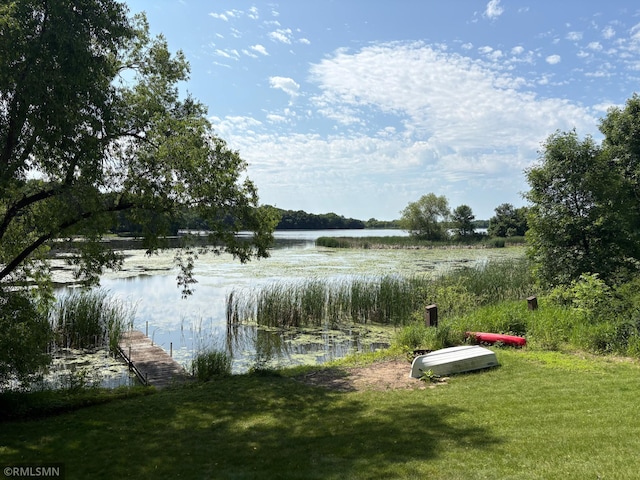 8243 Greer Ave NW, Maple Lake, MN 55358 - water view