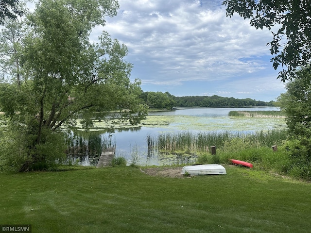 8243 Greer Ave NW, Maple Lake, MN 55358 - water view