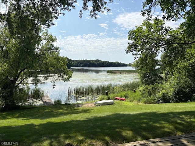 8243 Greer Ave NW, Maple Lake, MN 55358 - water view