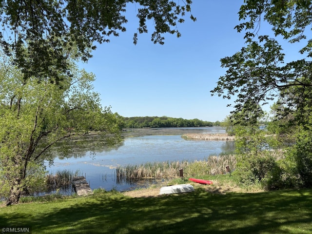 8243 Greer Ave NW, Maple Lake, MN 55358 - water view with a heavily wooded area