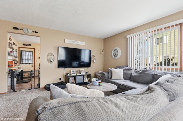 505 Shadyside Cir, Hopkins, MN 55343 - photo 14