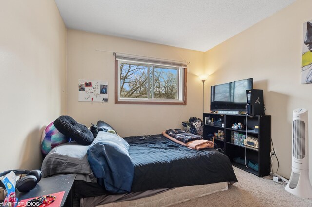 505 Shadyside Cir, Hopkins, MN 55343 - photo 11